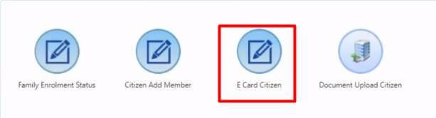 e-card-citizen-option