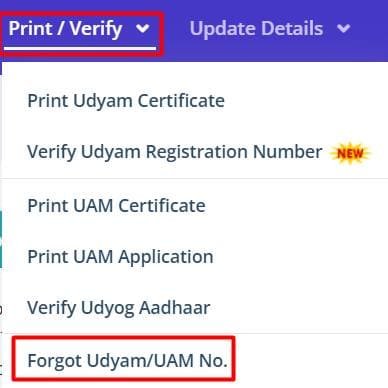 forgot-udyam-number-option