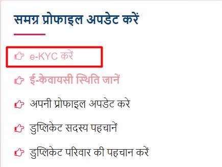 ladli-behna-yojana-ekyc-option