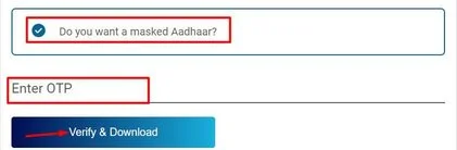 tick-mark-masked-aadhar-download-option